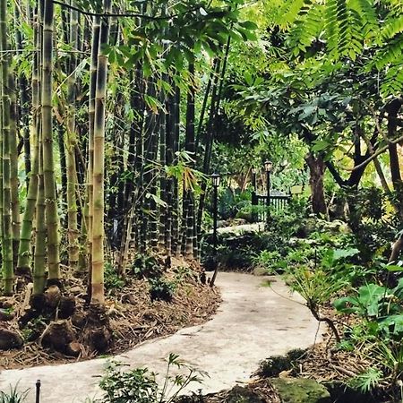 Sundy House - Delray Beach Ngoại thất bức ảnh