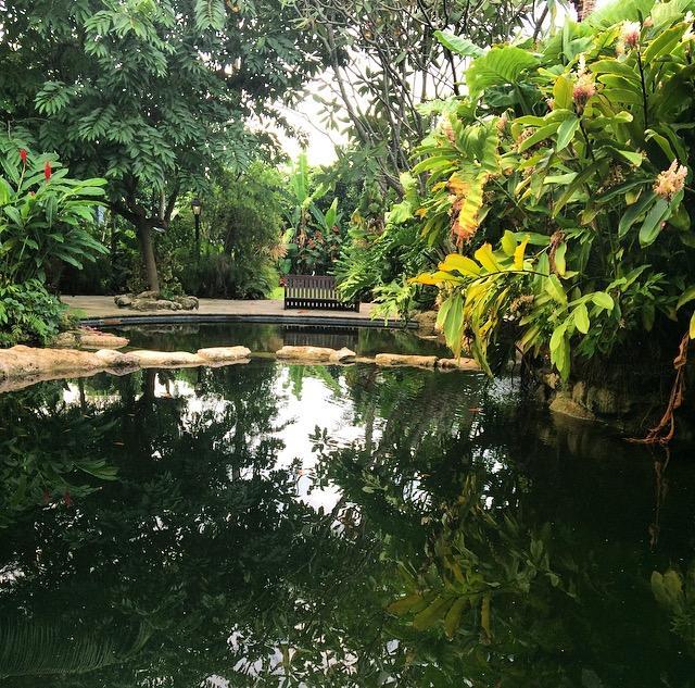 Sundy House - Delray Beach Ngoại thất bức ảnh